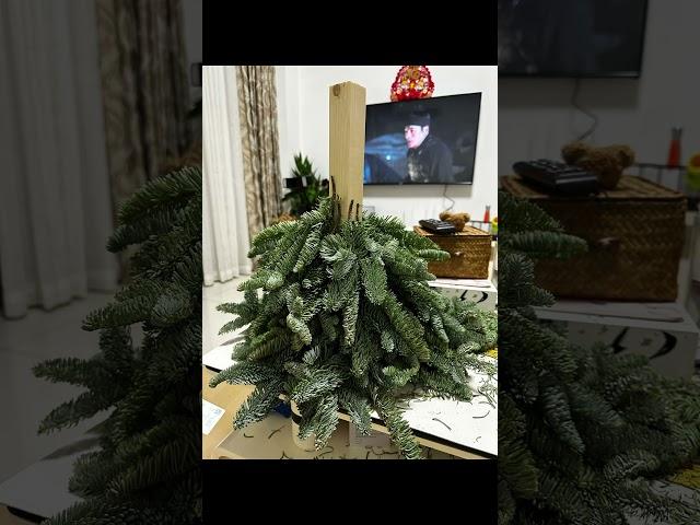 Make a Christmas tree yourself