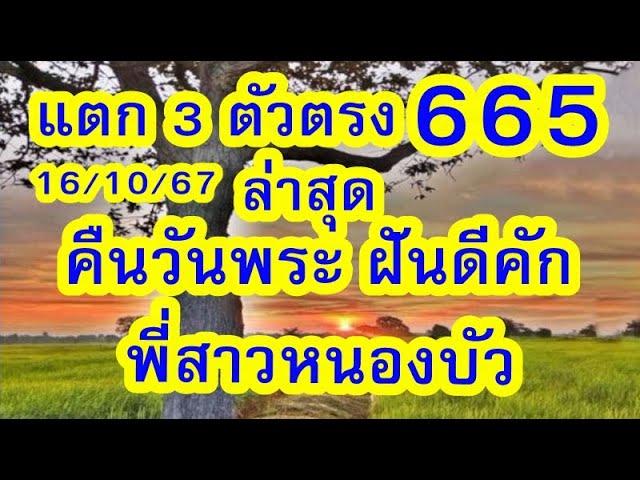 ด่วน!  ล่าสุด พี่สาวหนองบัว ฝันดีคัก    16/10/67