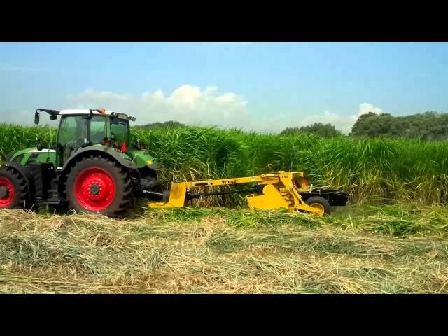 Miscanthus Harvest at Outdoor Farm Show