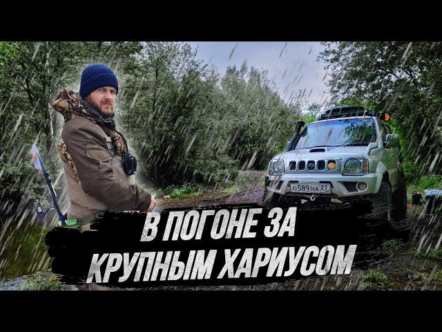 В ПОГОНЕ ЗА КРУПНЫМ ХАРИУСОМ