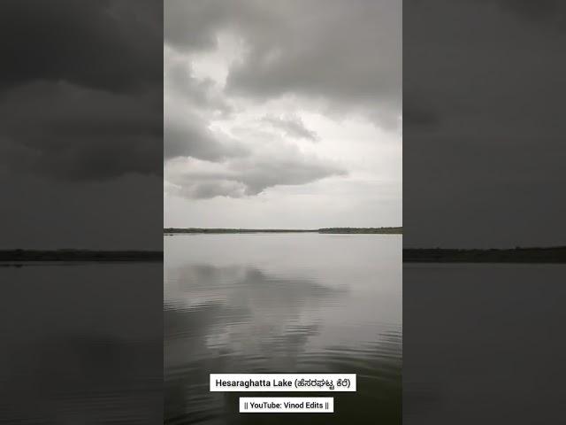 Hesaraghatta Lake | ಹೆಸರಘಟ್ಟ ಕೆರೆ | Vinod Edits