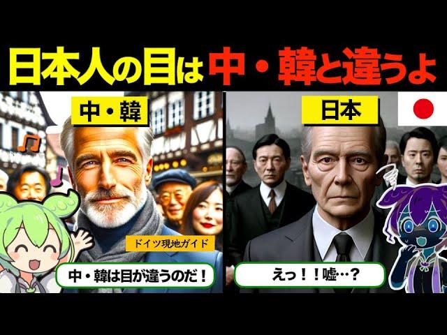 【海外の反応】「日本人は目が違うんだ…」日・中・韓の違いが目で判るというドイツ現地ガイドのハンス・ミュラーさん。その衝撃の理由とは…。【ずんだもん×ゆっくり解説】