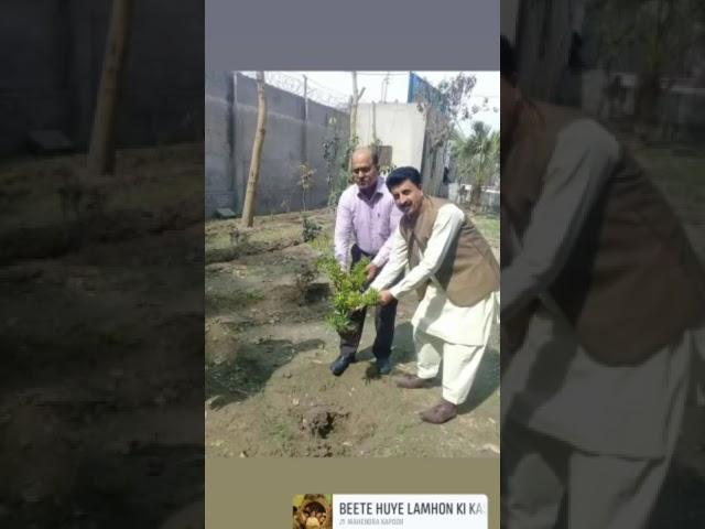 DEO SE Gujranwala k hamrah Sir Ashiq Hussain Cheema sb GHSS NO.1 k plote main pouda laga rahay hein