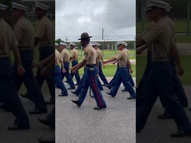 USMC Graduation #shorts #usmcveteran #military #usmilitary #usmc #marine #marinecorp #graduation