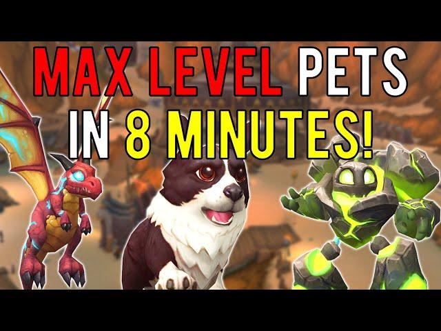 Now Is The BEST Time To Level Your Pets In WoW!