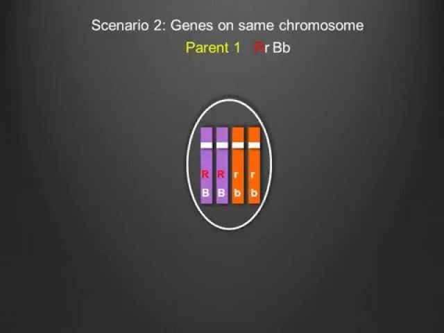 Genetic Linkage