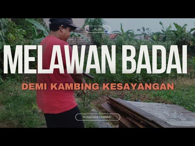 Diserang hujan angin sewaktu mengarit rumput | BADAIII DISORE HARI