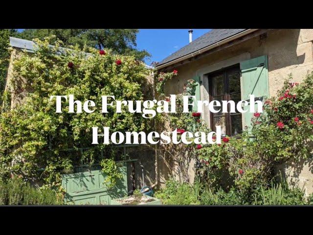 Life at the Frugal French Homestead