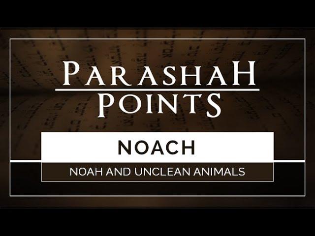 Parashah Points: Noach – Noah and Unclean Animals - 119 Ministries