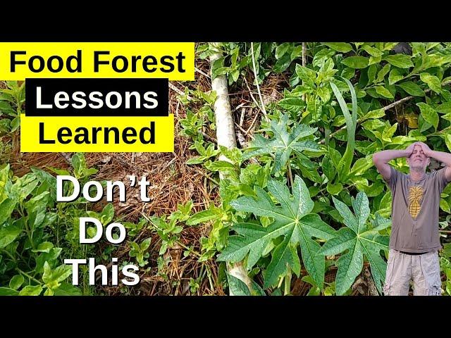 Homestead Life Lessons: How Not To Plant Papaya