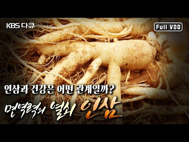 면역이 무너지면 건강도 무너진다. 내 몸을 살리는 힘, 면역력~ 그 열쇠가 인삼에 있다. 인삼의 효능과 면역력의 중요성에 대해 알아본다! (KBS 20161119 방송)