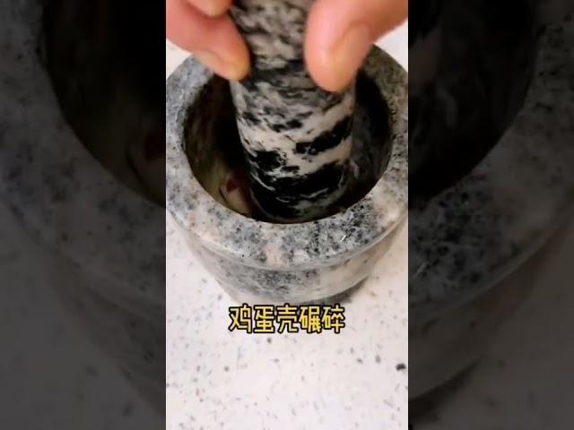 ［TOP] 6大妙招提前对付家庭有机菜园的各种问题