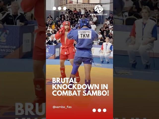 Brutal knockdown in Combat SAMBO! 