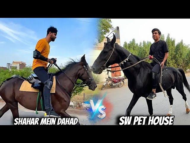 shehr main dihat vs sw pet house horse riding Waeed vs sabtain