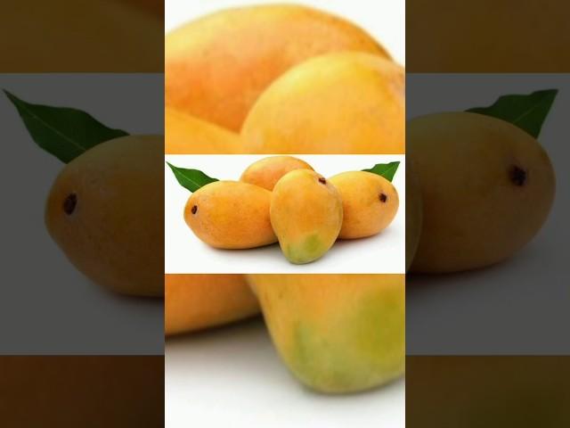 Mangifera indica (Mango) #shorts #shortsvideo #youtubeshorts #mango