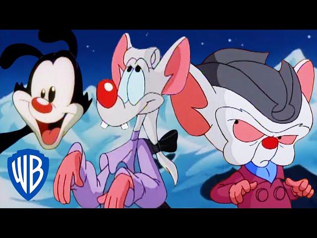 Animaniacs | Best of Pinky and the Brain  | Classic Cartoon Compilation | WB Kids