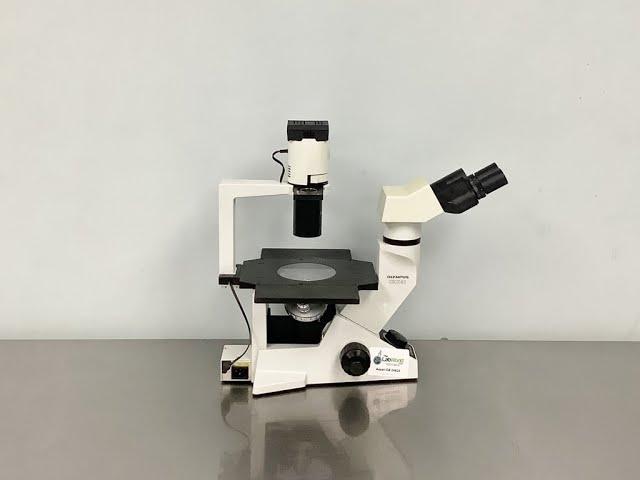 Olympus CKX41 Inverted Lab Microscope Video ID 24620