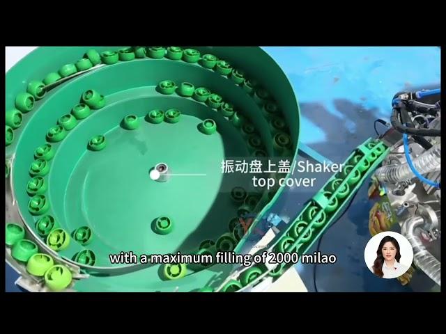 Automatic Spout bag filling sealing Machine