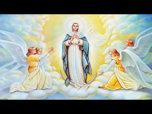 (THURSDAY) LUMINOUS MYSTERIES. HOLY ROSARY: Mother Mary Pray for Us