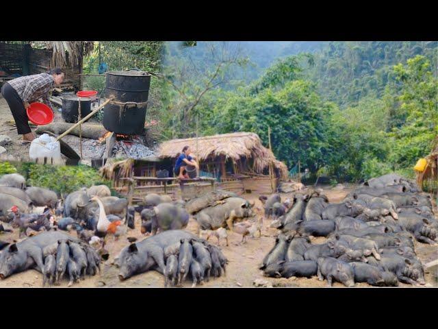 Woman living in the forest raises hundreds of pigs, distills water from corn