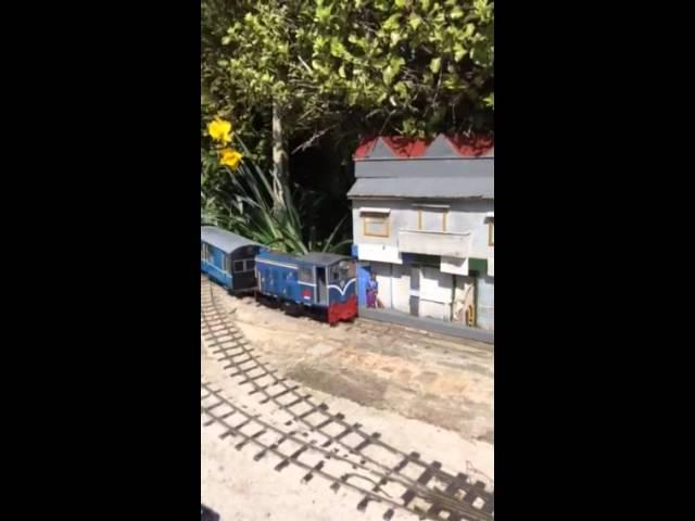 Darjeeling Colin's garden railways