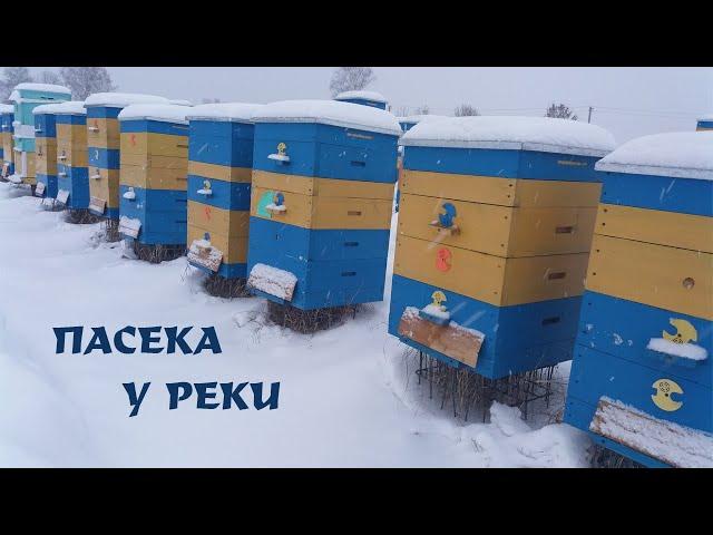 Пасека у реки! | Apiary by the river!