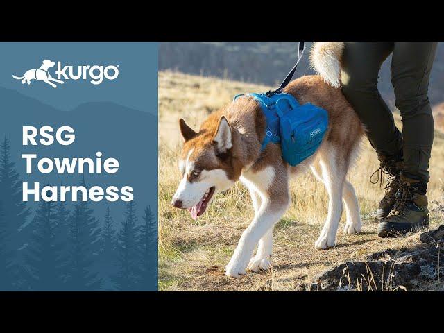 The RSG Townie Harness | Create the pack you want