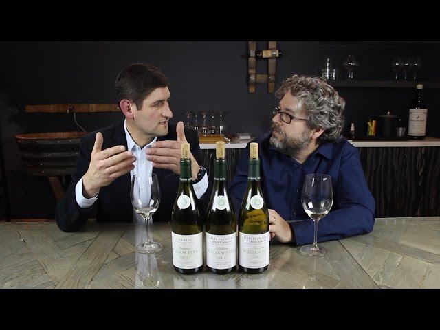 Didier Séguier of Domaine William Fèvre: Ep. 117