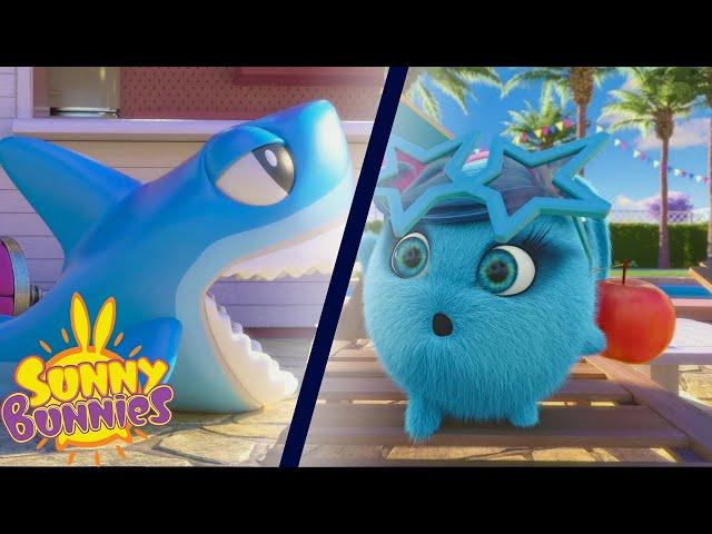 Shark Attack - Sunny Bunnies | Cartoons For Kids