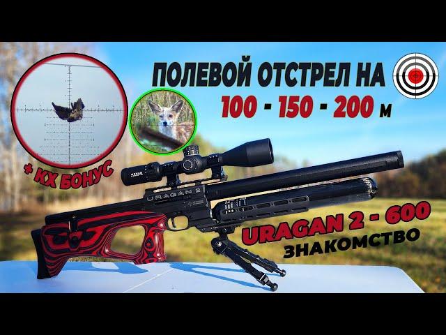 Air Rifle AGT Uragan 2 600 \ Обзор-Отстрел на 100-150-200 m + КХ Бонус