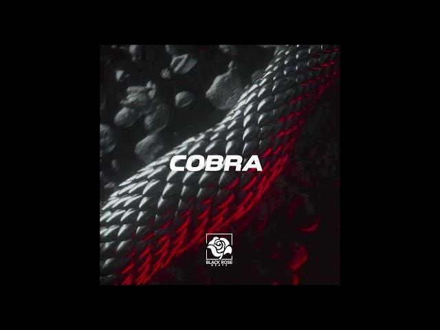 dancehall type beat "Cobra" | anitta x tropkillaz type beat | freestyle club rap instumental 2024