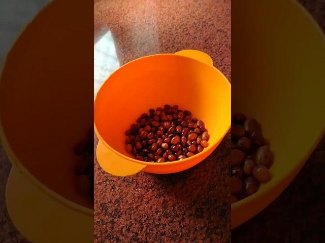 Peanut chat 