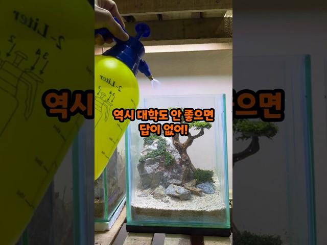 8천만 원 연봉 직원에게 학벌로 충격적인 발언한 부장님