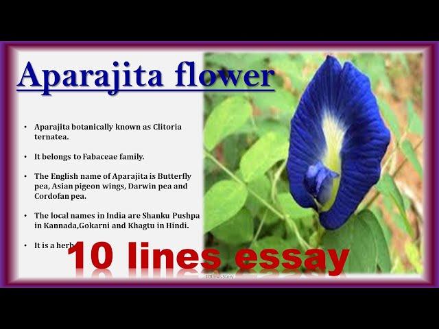 10 lines on Aparajita flower||10 lines essay on Aparajita flower