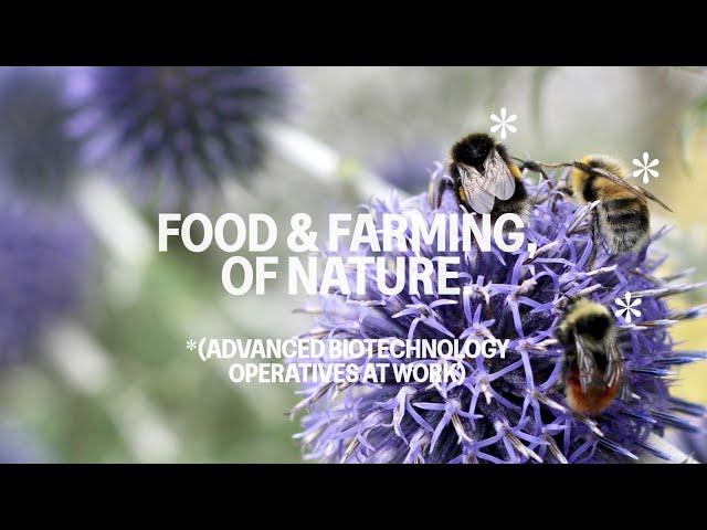 The Radical Natural Food Revolution: New Foundation Farms - Vision