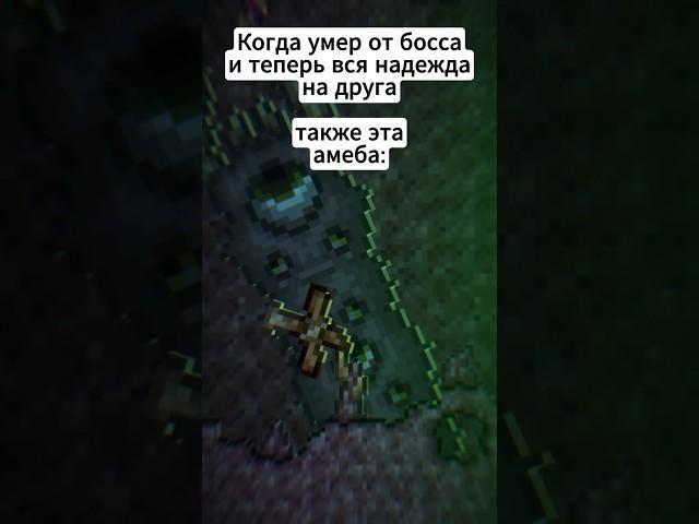 Вот это совпадение. #terraria #террария #юмор #мемы #анимация #animation