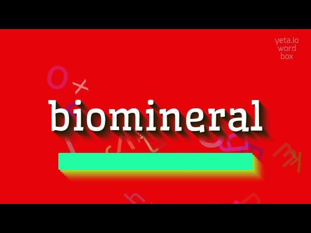 How to say "biomineral"! (High Quality Voices)