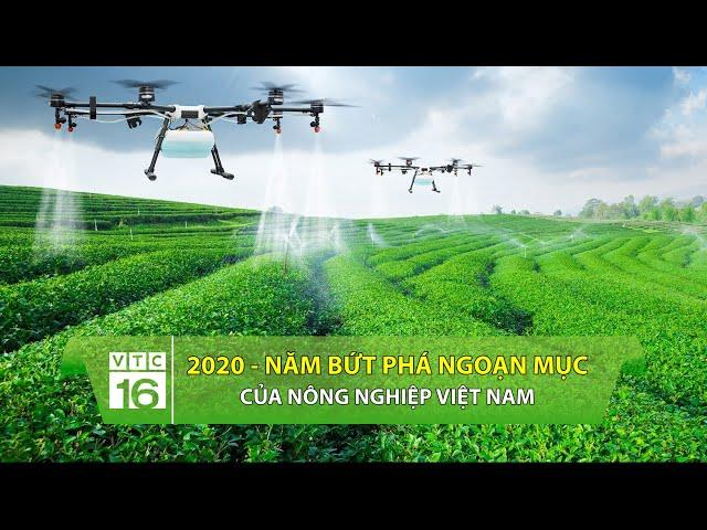 2020 - Năm bứt phá ngoạn mục của nông nghiệp Việt Nam | VTC16
