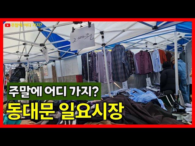 동대문 일요시장 | 청계천 평화시장 주변 일요일만 열리는 시장 | 동대문역에서 청계천으로