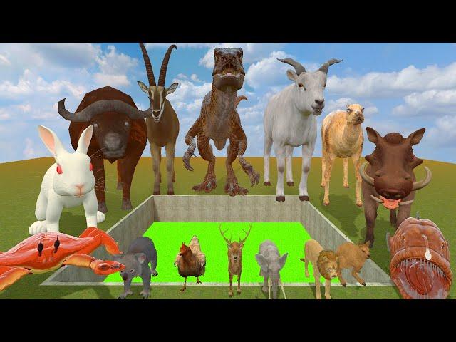 I FOUND ALL PARASITE MUTANT ANIMALS ZOOCHOSIS in BIG HOLE TOXIC Garry's Mod