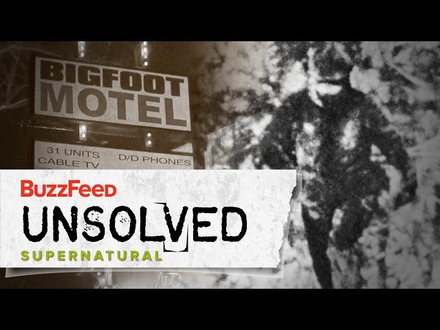 The Harrowing Hunt For Bigfoot