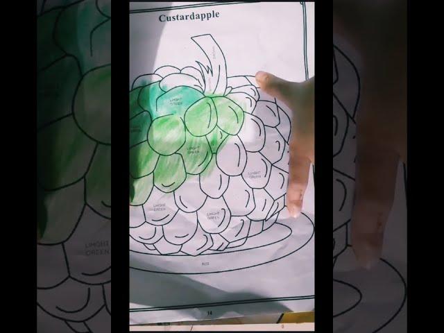 Fruit drawing misszoya YouTube video