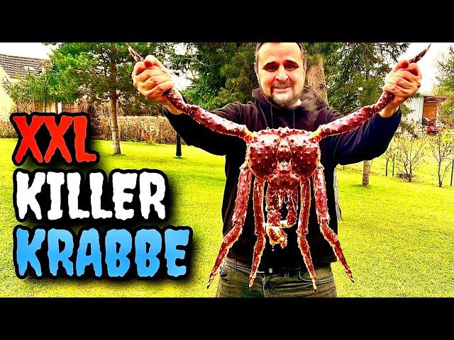 1000€ XXL KINGCRAB zubereiten --- Klaus grillt