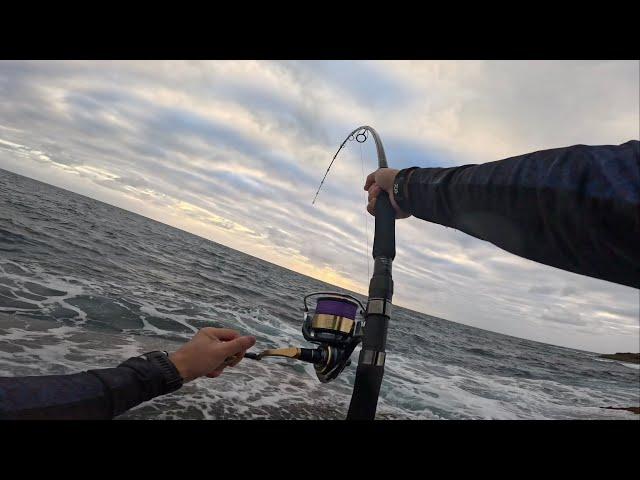 Catching The Fish of a Lifetime! | Shore Casting & Shore Jigging | Rock Fishing NSW, Australia