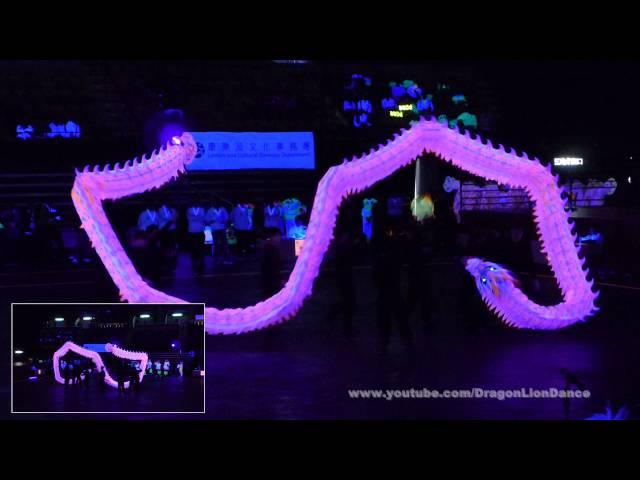 Crocodile World Hong Kong "Luminous Dragon Dance" Championship 2016 - Malaysia Team (Right Cam)