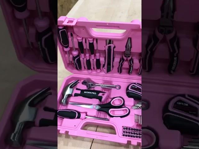 A beautiful pink box!  #shorts #workpro #workprotools #pink #toolbox