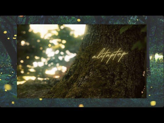 Alitaptap - Matt Wilson (Official Lyric Video)