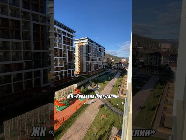 Квартира в Сочи на берегу моря #сочи #недвижимостьсочи #житьнаморе #инвестиции