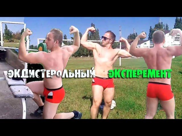 Экдистерон - натуральный стероид ? Насколько больше стали мышцы ?!