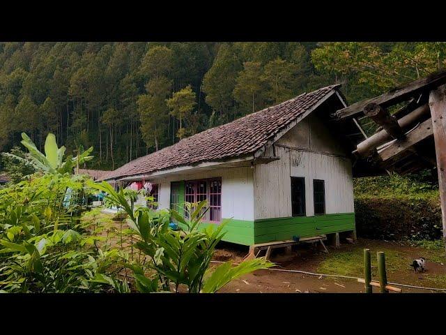 Luar Biasa !! Kampung Di Bawah Lembah Tersembunyi Di Tengah Hutan Jauh Ke Perkampungan Lain